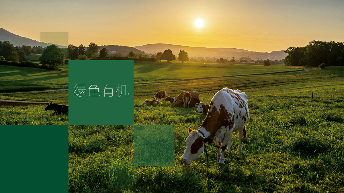 农业VI设计