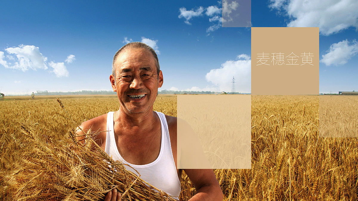 农业VI设计